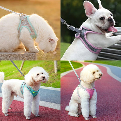 AdventurePaw: Adjustable Cat Harness and Leash Set