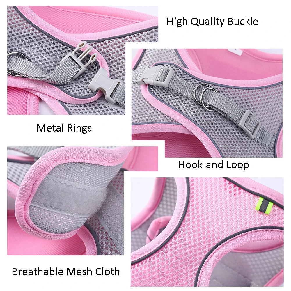 AdventurePaw: Adjustable Cat Harness and Leash Set