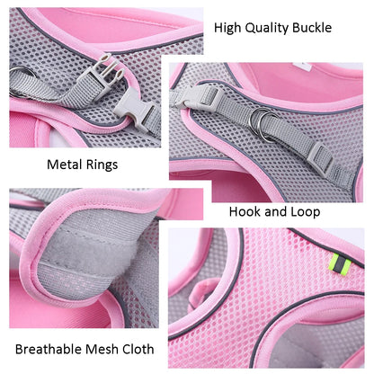 AdventurePaw: Adjustable Cat Harness and Leash Set