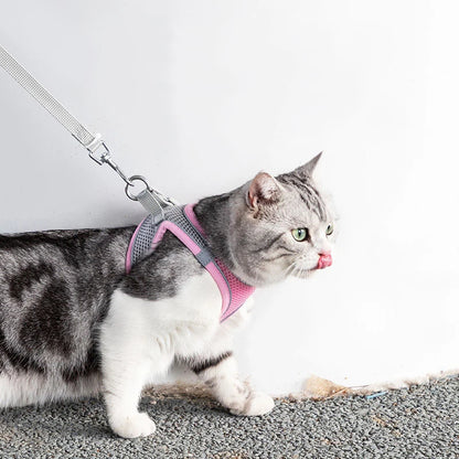 AdventurePaw: Adjustable Cat Harness and Leash Set