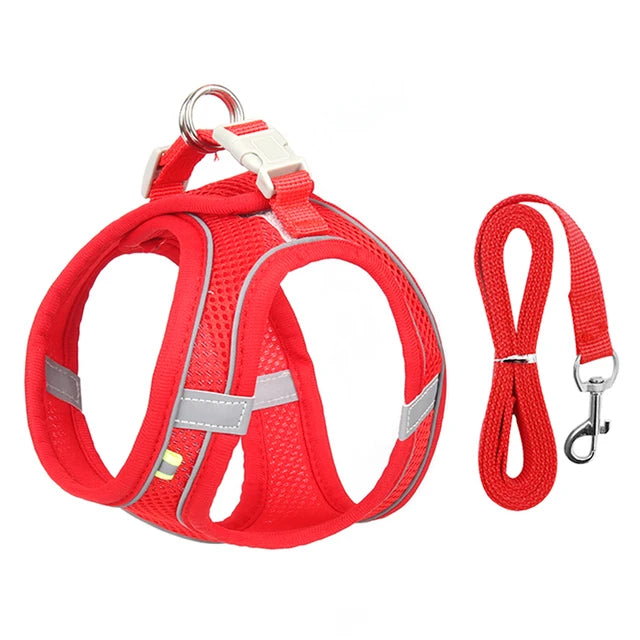 AdventurePaw: Adjustable Cat Harness and Leash Set