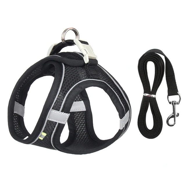 AdventurePaw: Adjustable Cat Harness and Leash Set