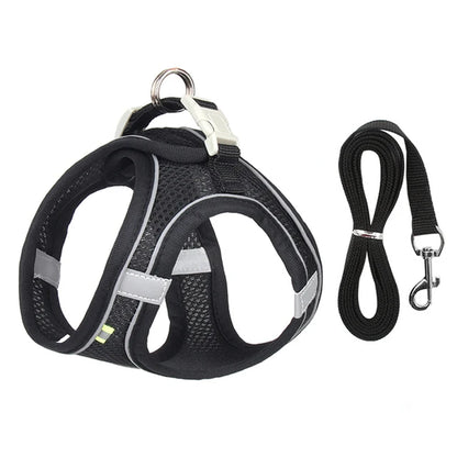 AdventurePaw: Adjustable Cat Harness and Leash Set