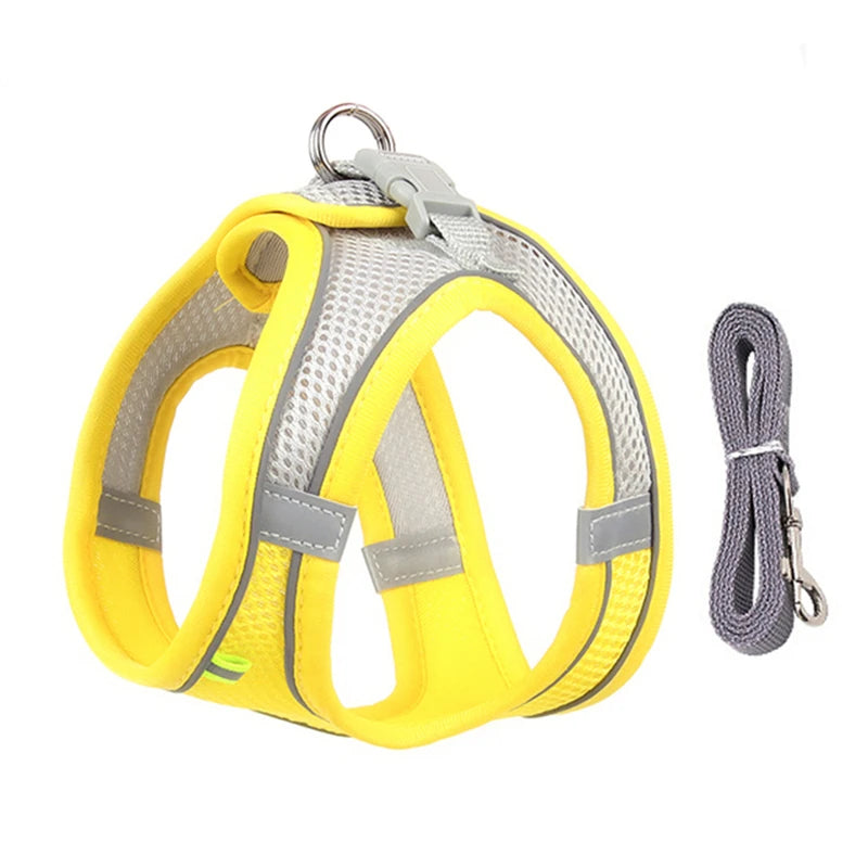 AdventurePaw: Adjustable Cat Harness and Leash Set